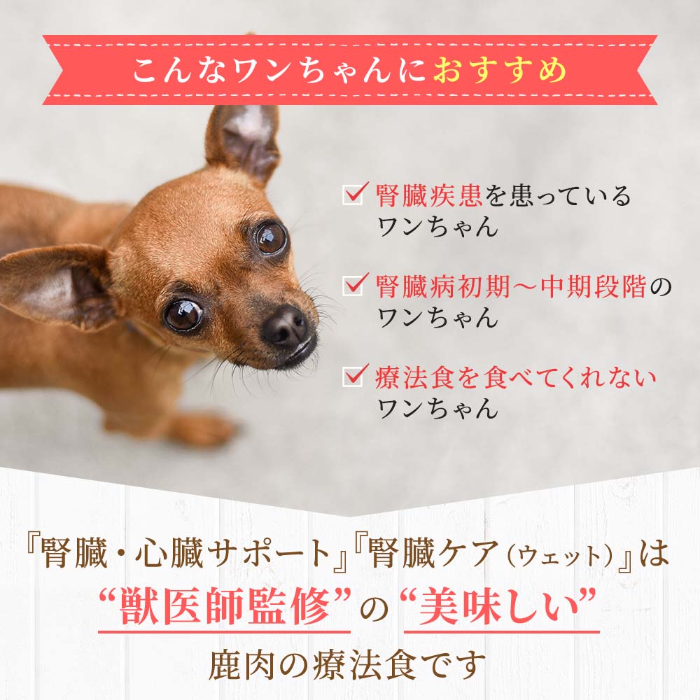 腎臓疾患を患っているワンちゃん、腎臓病初期～中期段階のワンちゃん、療法食を食べてくれないワンちゃんにおすすめ
