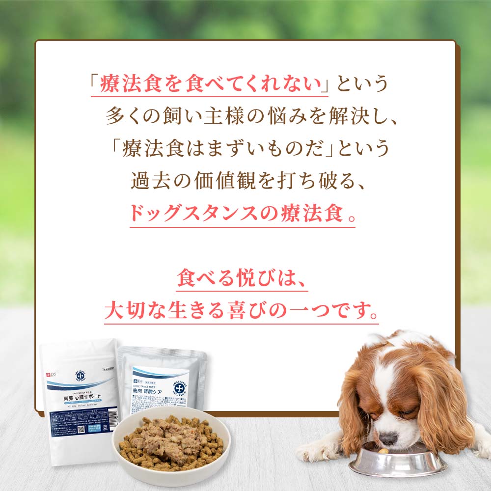 療法食を食べてくれないという飼い主様の悩みを解決し、療法食はまずいものだという過去の価値観を打ち破るドッグスタンスの療法食