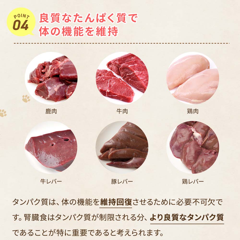 良質なたんぱく質で体の機能を維持