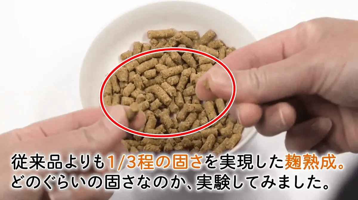 食べなくなった高齢犬も喜ぶ!ドッグスタンス鹿肉麹熟成