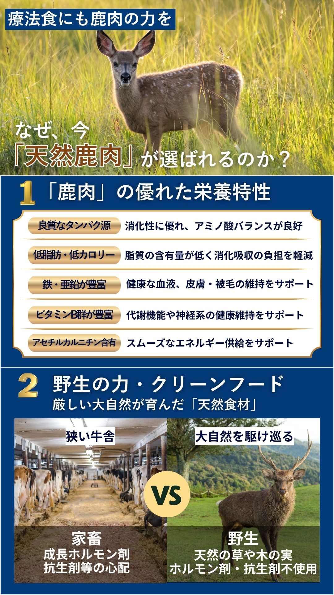 DOGSTANCE おいしい食で元気に脂質ケア