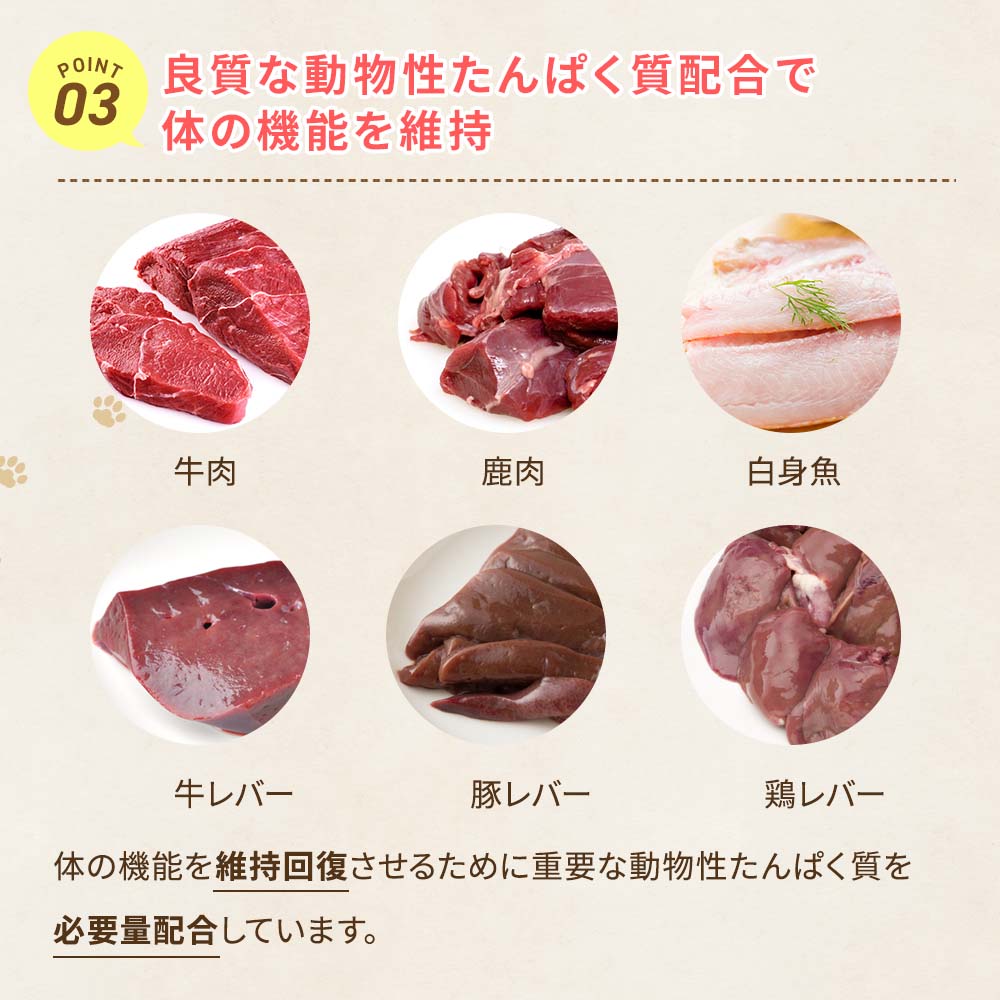 DOGSTANCE おいしい食で元気に脂質ケア