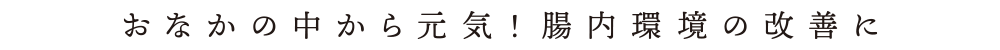 おなかの中から元気!腸内環境の改善に