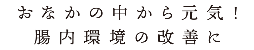 おなかの中から元気!腸内環境の改善に